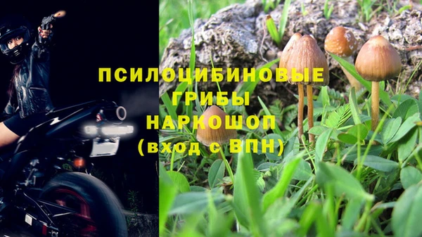 винт Новодвинск