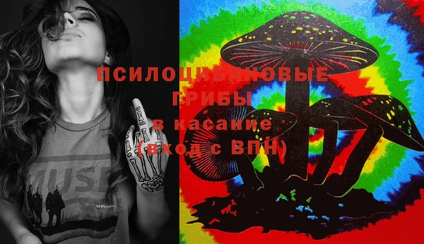 бошки Новозыбков
