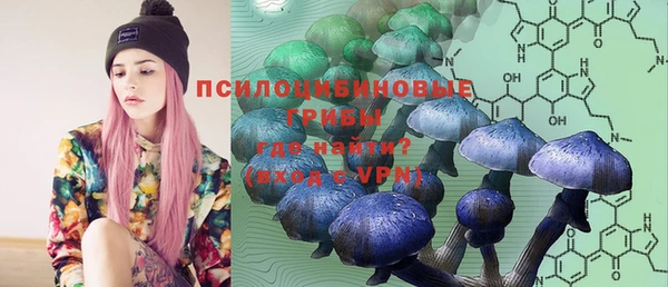 бошки Новозыбков