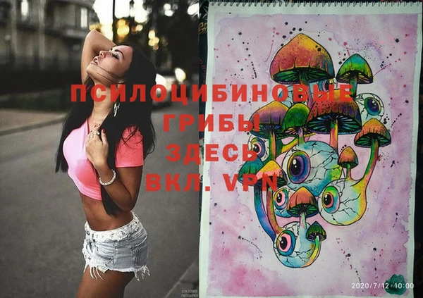 винт Новокубанск